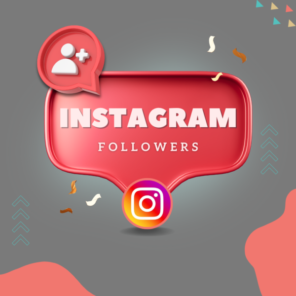 Instagram Organic Follower Growth